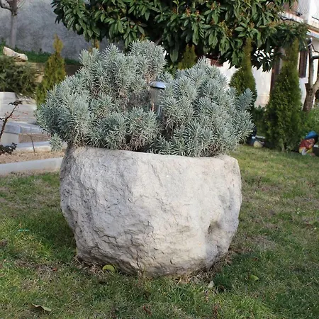Apartament Rako *