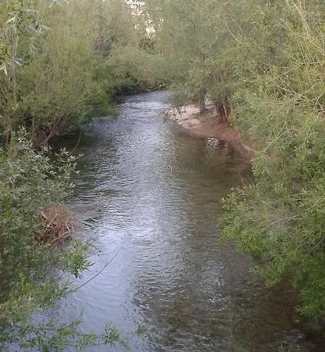 Rako