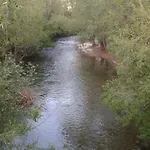 Rako